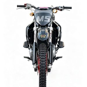 BSE M5 250cc Gasoline Dirt Bike gasoline off-road motorcycle image 1