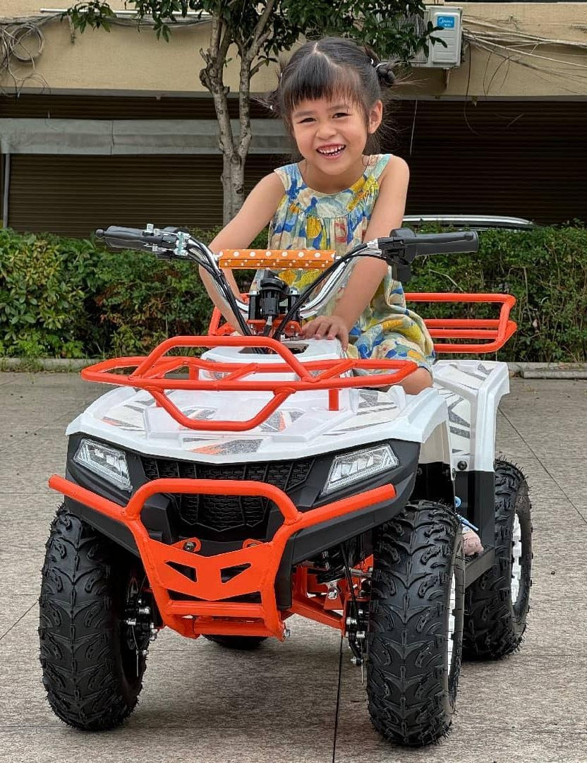 HL-EATV-02 36V 500W Electric ATV